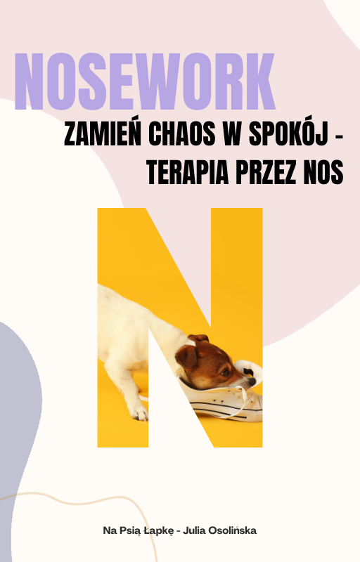 Nosework – zamień chaos w spokój